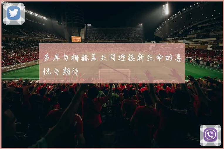 多库与梅赫莱共同迎接新生命的喜悦与期待